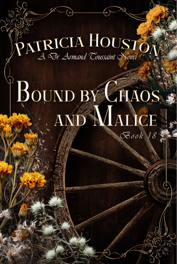 Bound by Chaos and Malice by Patricia Houston