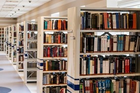 library shelves full of books
